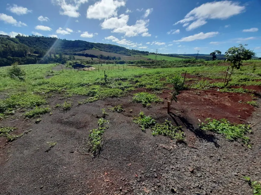 Chácara à venda, 24000m2 em Londrina - PR - imagem 8 Foto 8 de Chácara à venda, 24000m2 em Londrina - PR