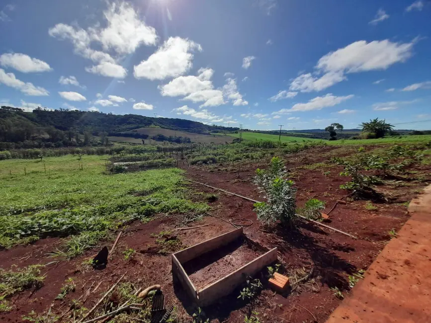 Chácara à venda, 24000m2 em Londrina - PR - imagem 5 Foto 5 de Chácara à venda, 24000m2 em Londrina - PR