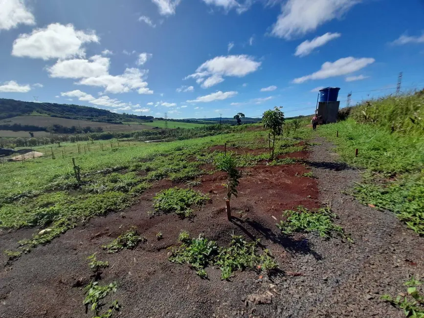 Chácara à venda, 24000m2 em Londrina - PR - imagem 4 Foto 4 de Chácara à venda, 24000m2 em Londrina - PR
