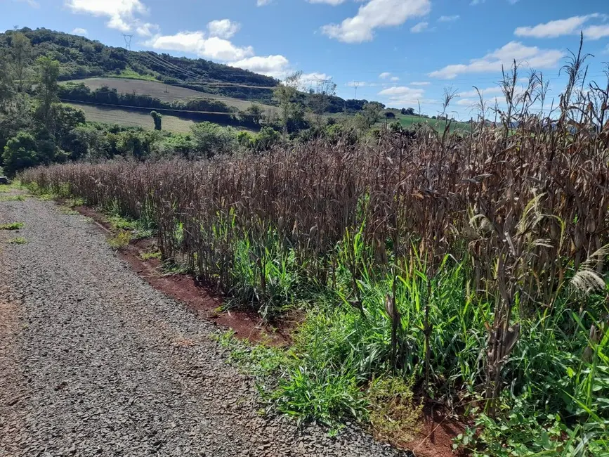 Chácara à venda, 24000m2 em Londrina - PR - imagem 9 Foto 9 de Chácara à venda, 24000m2 em Londrina - PR