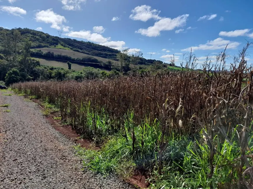 Chácara à venda, 24000m2 em Londrina - PR - imagem 6 Foto 6 de Chácara à venda, 24000m2 em Londrina - PR