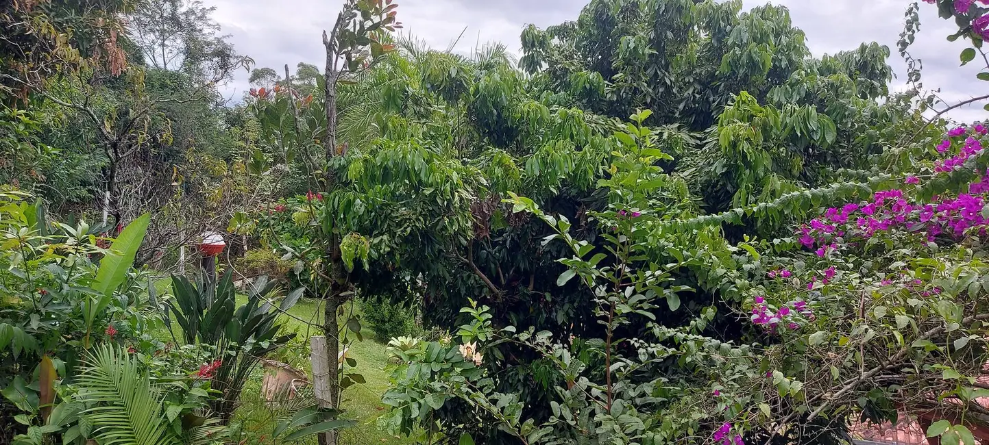Foto 17 de Chácara à venda, 24956m2 em Chácaras São Miguel, Londrina - PR
