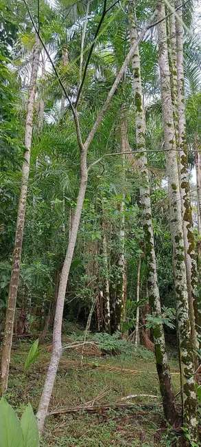 Foto 22 de Chácara à venda, 24956m2 em Chácaras São Miguel, Londrina - PR