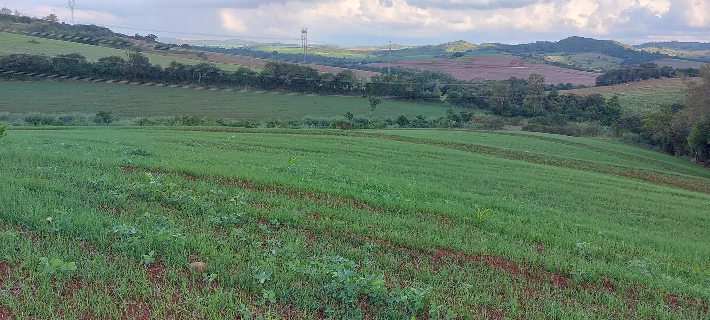 Sítio / Rancho à venda, 15m2 em Londrina - PR - imagem 5 Foto 5 de Sítio / Rancho à venda, 15m2 em Londrina - PR