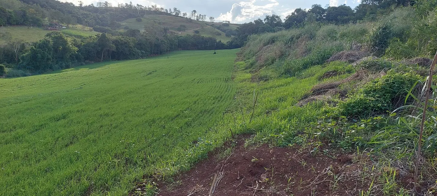 Sítio / Rancho à venda, 15m2 em Londrina - PR - imagem 4 Foto 4 de Sítio / Rancho à venda, 15m2 em Londrina - PR