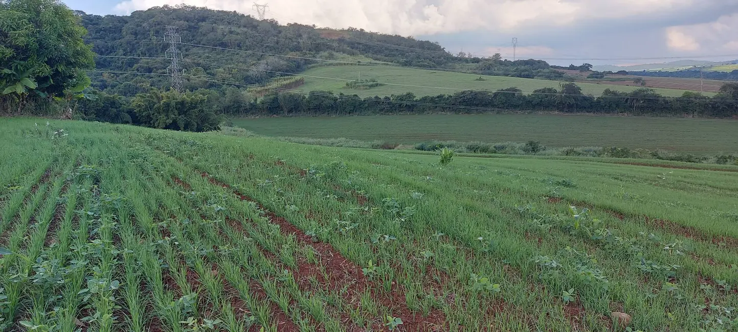 Foto 2 de Sítio / Rancho à venda, 15m2 em Londrina - PR