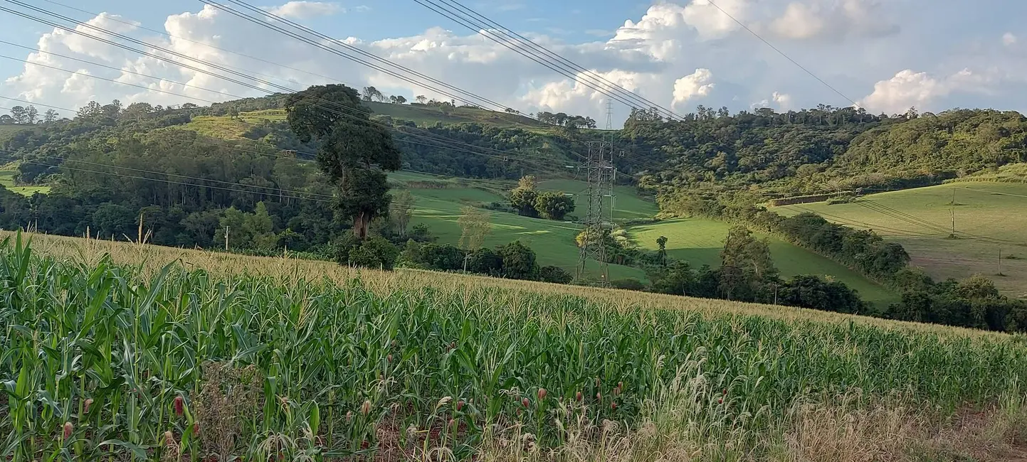 Sítio / Rancho à venda, 15m2 em Londrina - PR - imagem 8 Foto 8 de Sítio / Rancho à venda, 15m2 em Londrina - PR