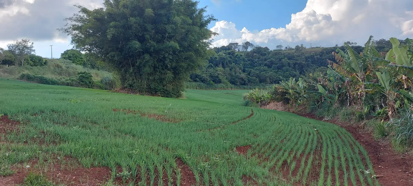 Sítio / Rancho à venda, 15m2 em Londrina - PR - imagem 9 Foto 9 de Sítio / Rancho à venda, 15m2 em Londrina - PR