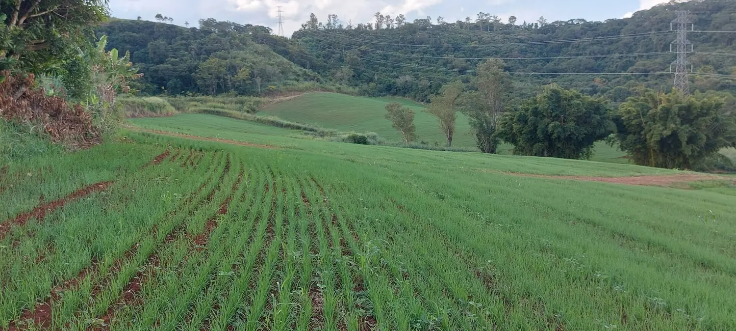 Sítio / Rancho à venda, 15m2 em Londrina - PR - imagem 3 Foto 3 de Sítio / Rancho à venda, 15m2 em Londrina - PR