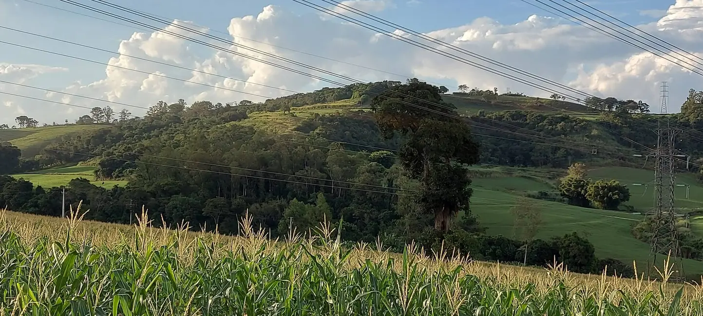 Sítio / Rancho à venda, 15m2 em Londrina - PR - imagem 7 Foto 7 de Sítio / Rancho à venda, 15m2 em Londrina - PR
