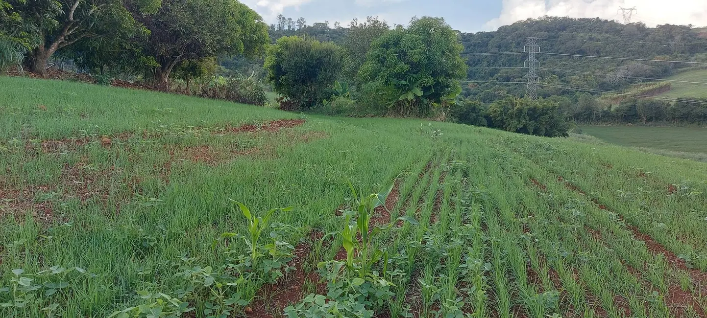 Sítio / Rancho à venda, 15m2 em Londrina - PR - imagem 6 Foto 6 de Sítio / Rancho à venda, 15m2 em Londrina - PR