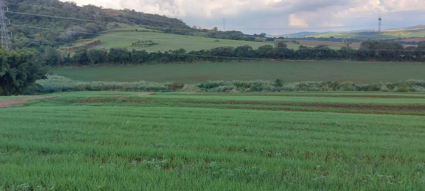Foto 1 de Sítio / Rancho à venda, 15m2 em Londrina - PR