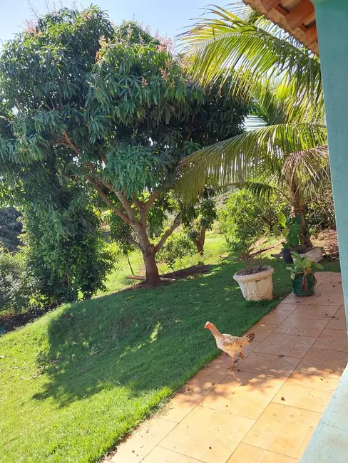 Foto 2 de Chácara com 4 quartos à venda, 1800m2 em Jardim Maravilha, Londrina - PR