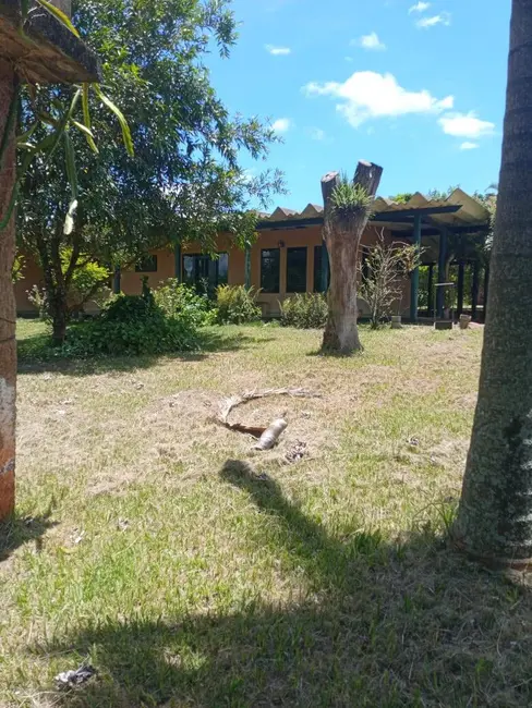 Foto 6 de Chácara com 4 quartos à venda, 5100m2 em Sertaneja - PR