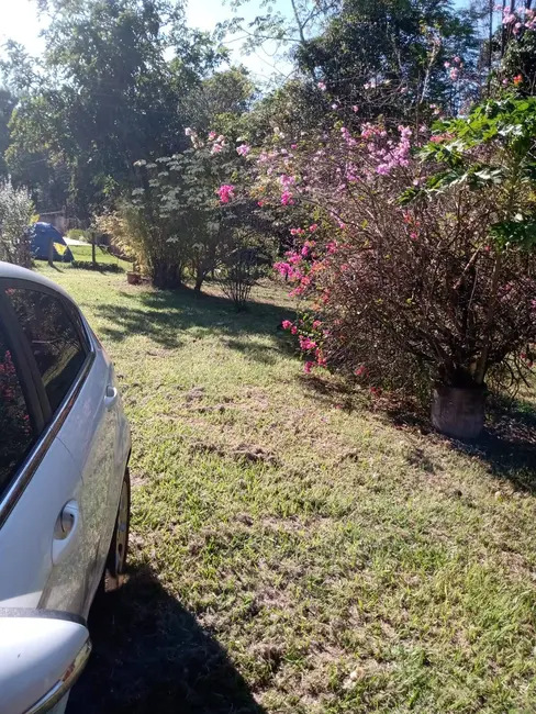 Foto 4 de Chácara com 4 quartos à venda, 5100m2 em Sertaneja - PR