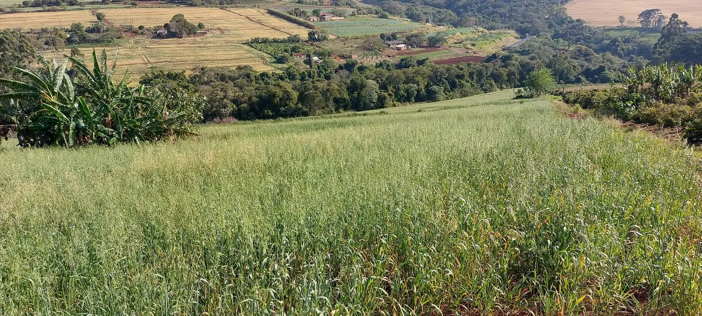 Foto 1 de Sítio / Rancho à venda em Tamarana - PR