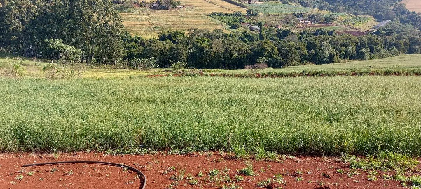 Sítio / Rancho à venda em Tamarana - PR - imagem 2 Foto 2 de Sítio / Rancho à venda em Tamarana - PR