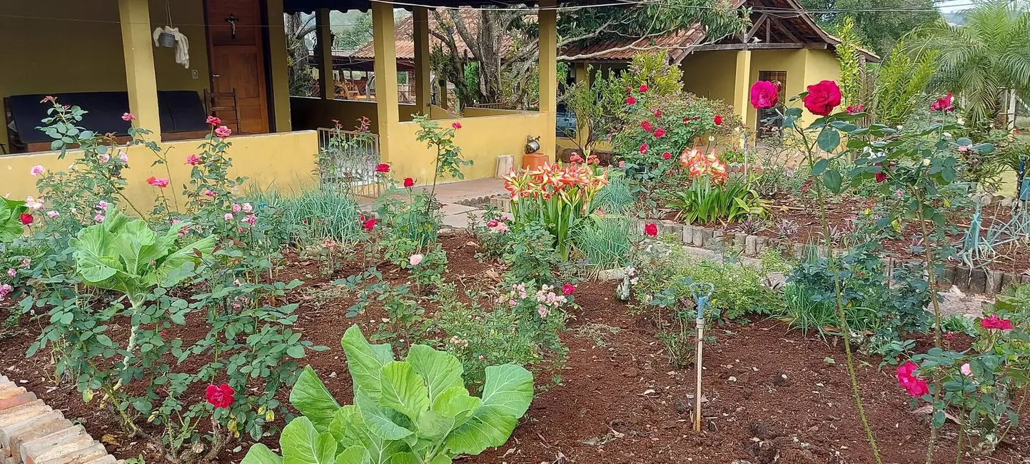 Sítio / Rancho à venda em Londrina - PR - imagem 9 Foto 9 de Sítio / Rancho à venda em Londrina - PR