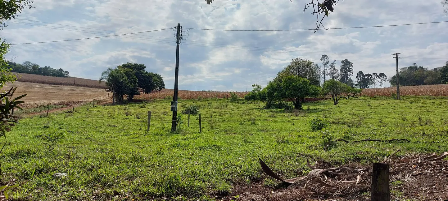 Sítio / Rancho à venda em Londrina - PR - imagem 6 Foto 6 de Sítio / Rancho à venda em Londrina - PR
