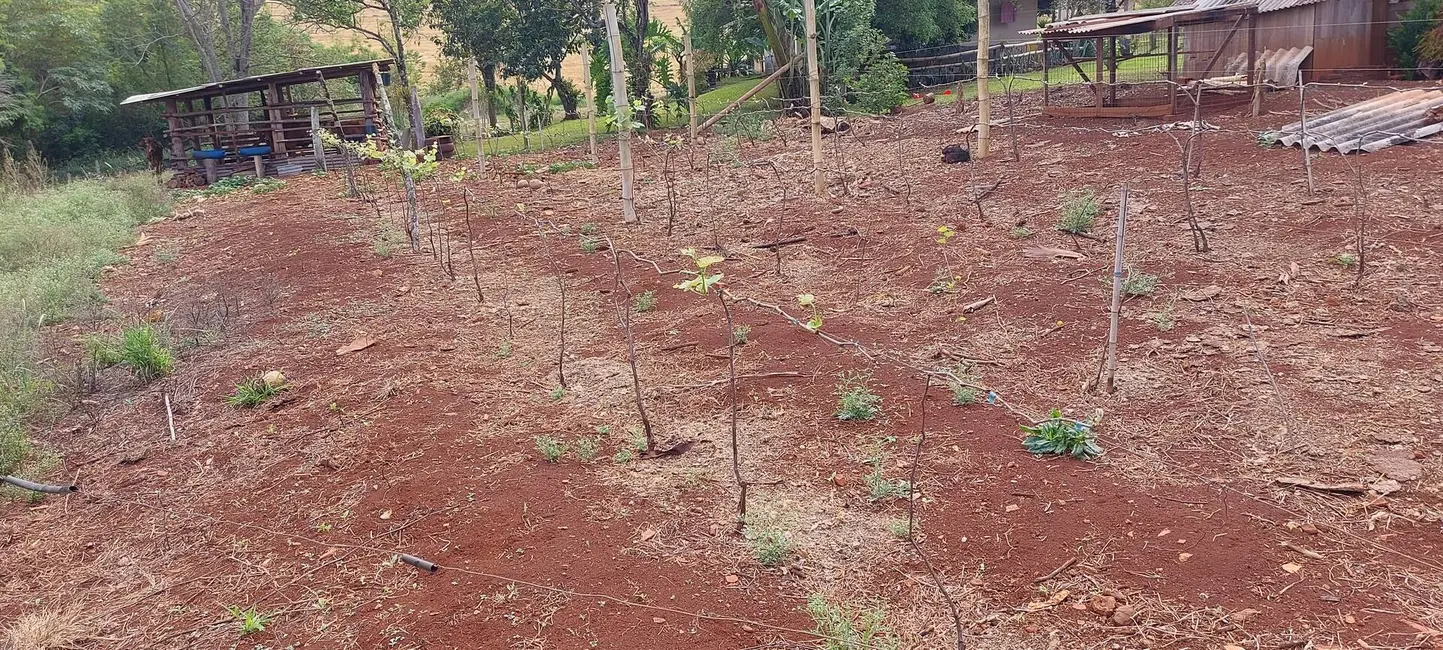 Foto 16 de Sítio / Rancho à venda em Londrina - PR
