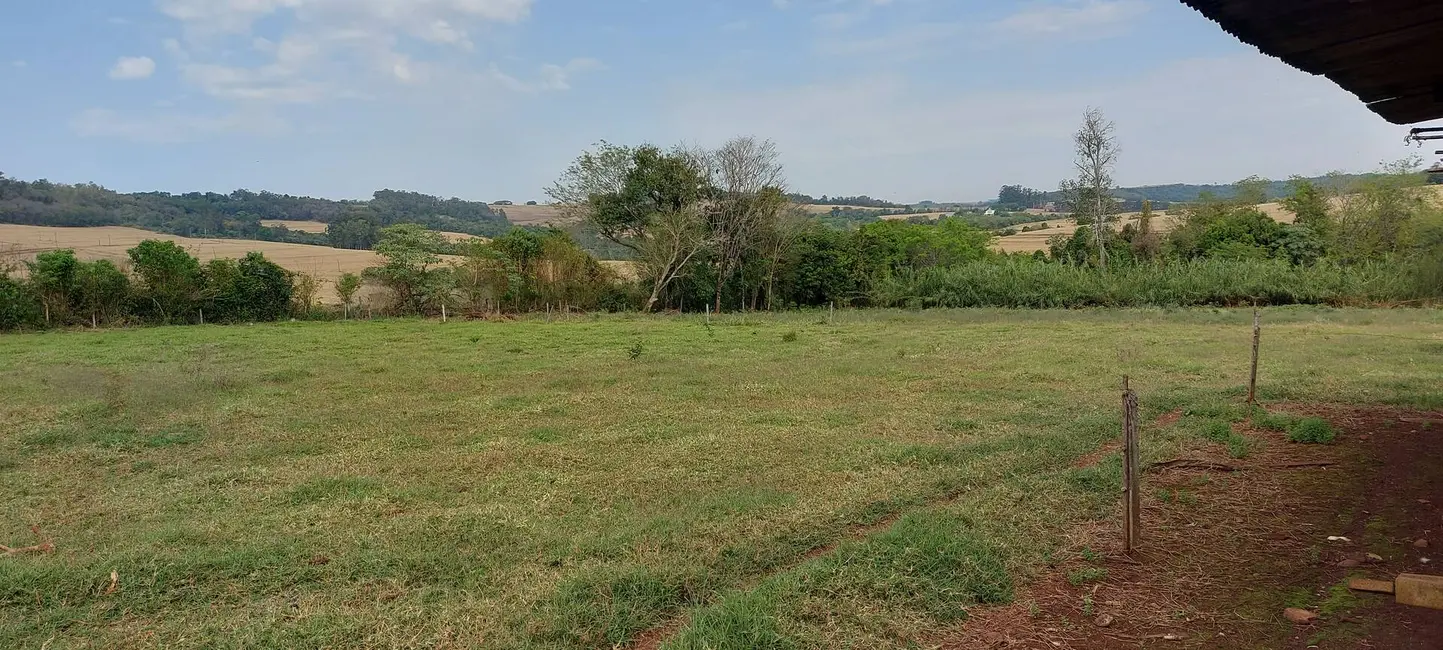 Foto 15 de Sítio / Rancho à venda em Londrina - PR