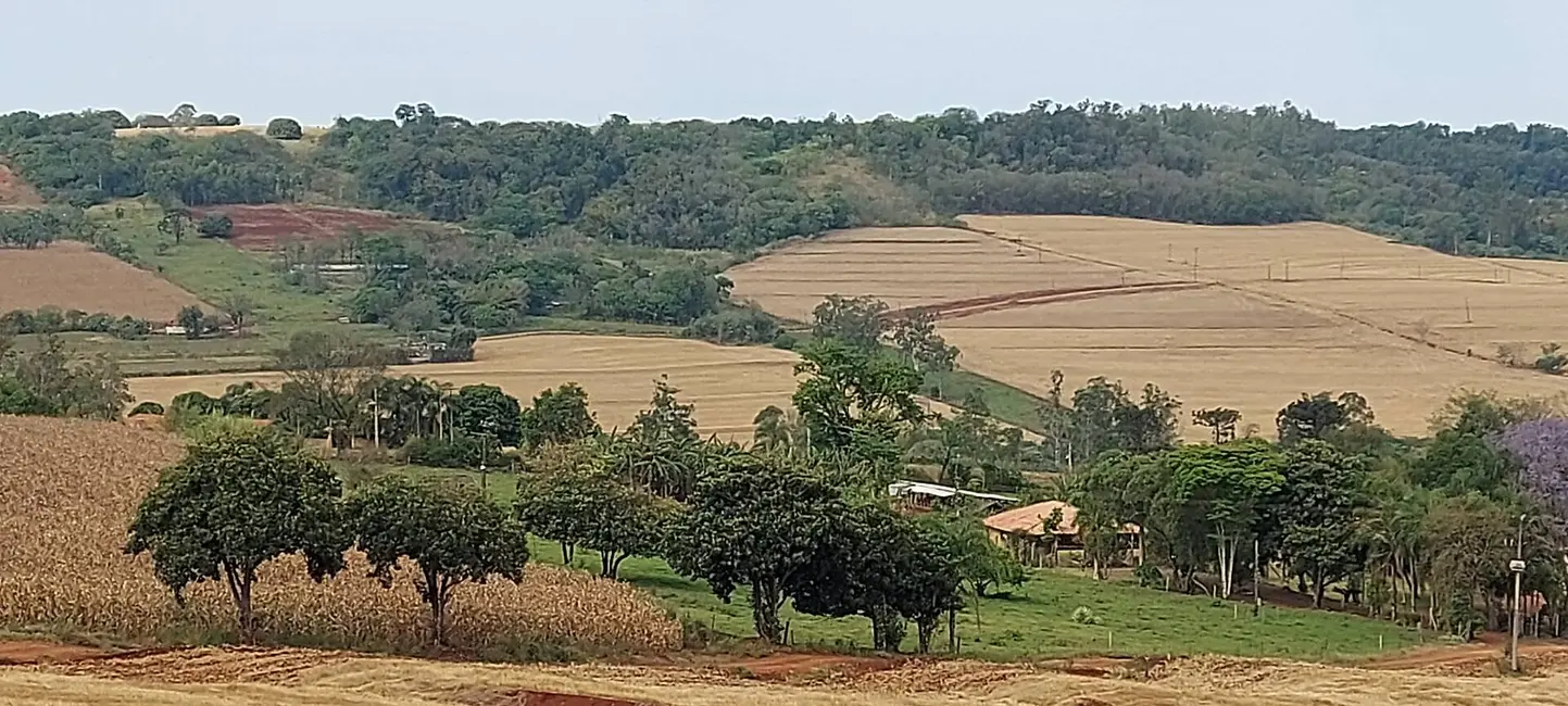 Foto 14 de Sítio / Rancho à venda em Londrina - PR