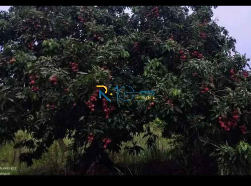 Foto 8 de Sítio / Rancho à venda, 80000m2 em Jataizinho - PR