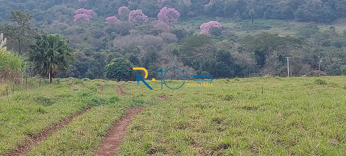 Foto 2 de Sítio / Rancho à venda, 80000m2 em Jataizinho - PR