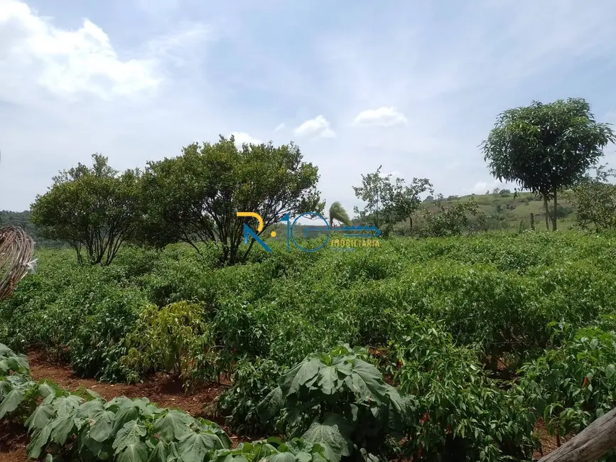 Foto 9 de Sítio / Rancho à venda, 80000m2 em Jataizinho - PR