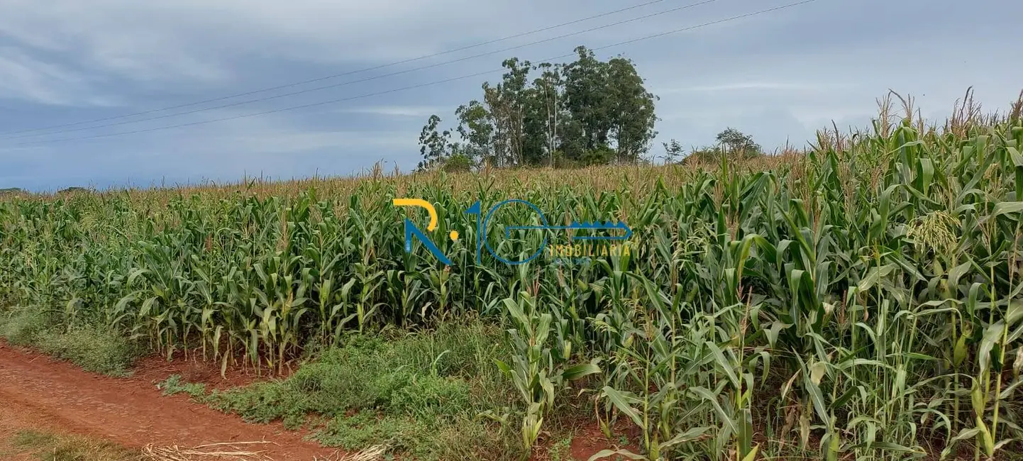 Foto 9 de Chácara à venda em Londrina - PR