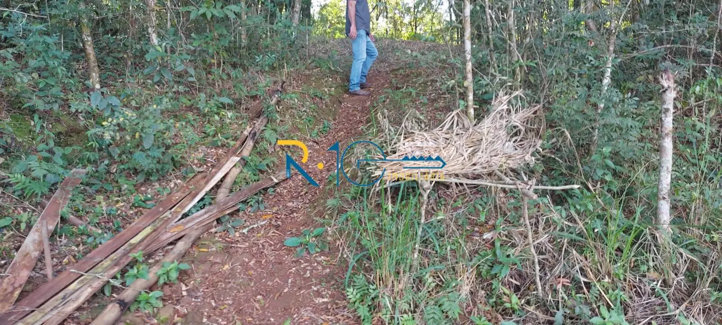 Foto 6 de Chácara à venda em Londrina - PR