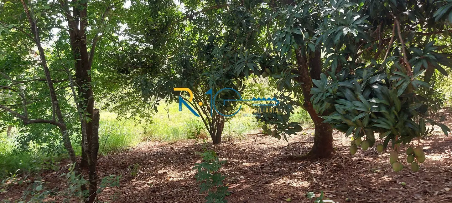 Chácara à venda, 21402m2 em Londrina - PR - imagem 4 Foto 4 de Chácara à venda, 21402m2 em Londrina - PR