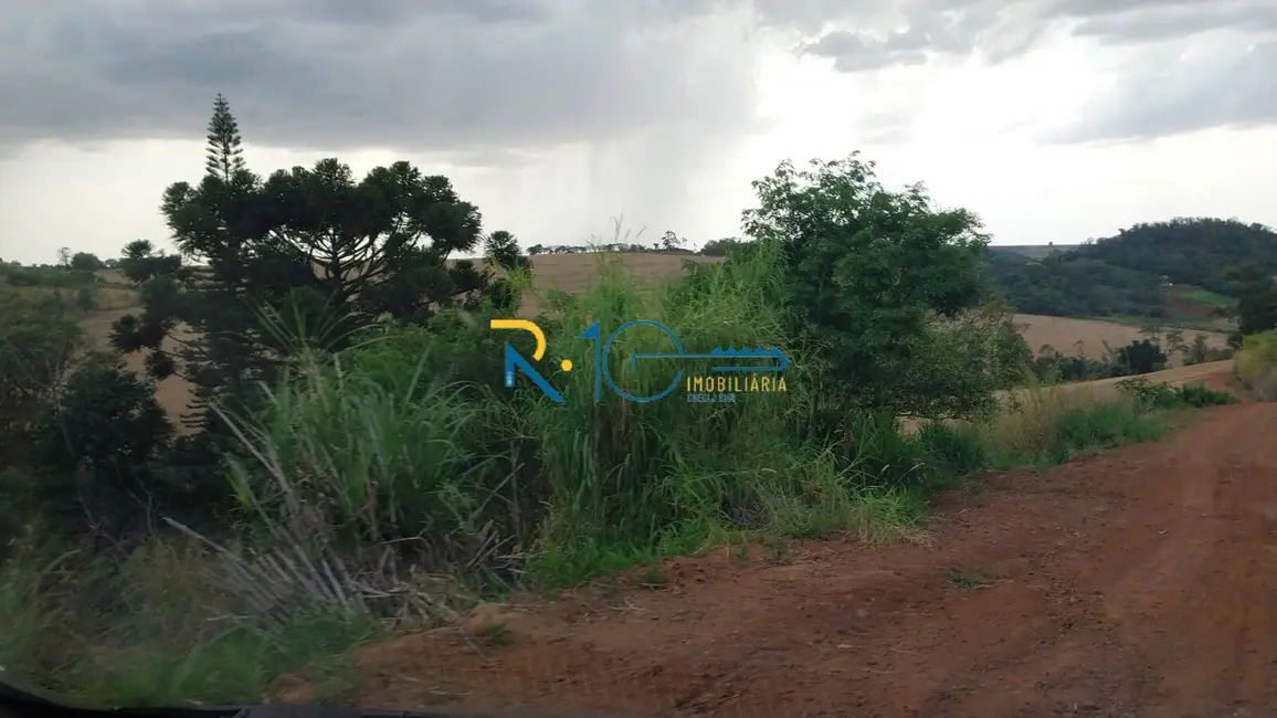 Foto 3 de Sítio / Rancho à venda em Área Rural de Rolândia, Rolandia - PR