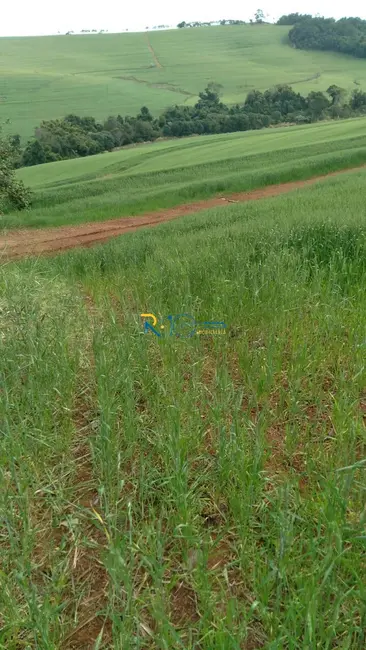 Foto 5 de Sítio / Rancho à venda em Área Rural de Rolândia, Rolandia - PR