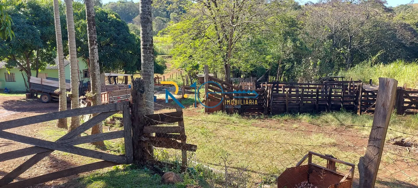 Foto 2 de Sítio / Rancho à venda em Jataizinho - PR