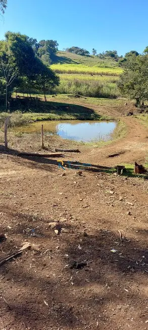 Sítio / Rancho à venda em Jataizinho - PR - imagem 6 Foto 6 de Sítio / Rancho à venda em Jataizinho - PR