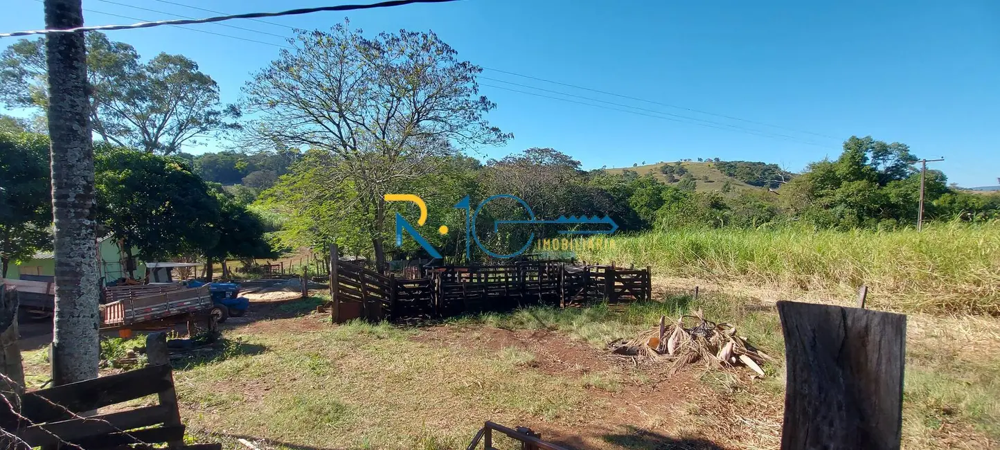 Sítio / Rancho à venda em Jataizinho - PR - imagem 8 Foto 8 de Sítio / Rancho à venda em Jataizinho - PR