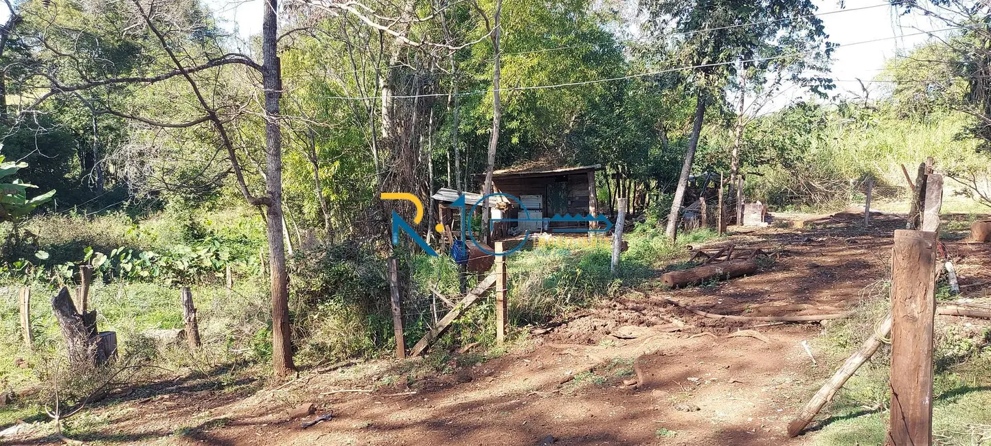 Sítio / Rancho à venda em Jataizinho - PR - imagem 10 Foto 10 de Sítio / Rancho à venda em Jataizinho - PR