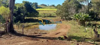Imagem 7