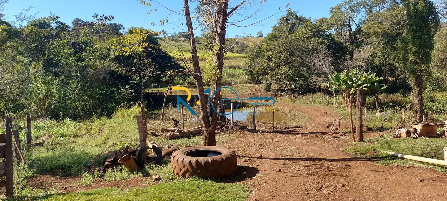 Sítio / Rancho à venda em Jataizinho - PR - imagem 5 Foto 5 de Sítio / Rancho à venda em Jataizinho - PR