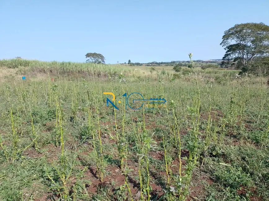 Chácara à venda, 40000m2 em Jataizinho - PR - imagem 14 Foto 14 de Chácara à venda, 40000m2 em Jataizinho - PR