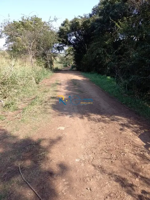 Chácara à venda, 40000m2 em Jataizinho - PR - imagem 16 Foto 16 de Chácara à venda, 40000m2 em Jataizinho - PR