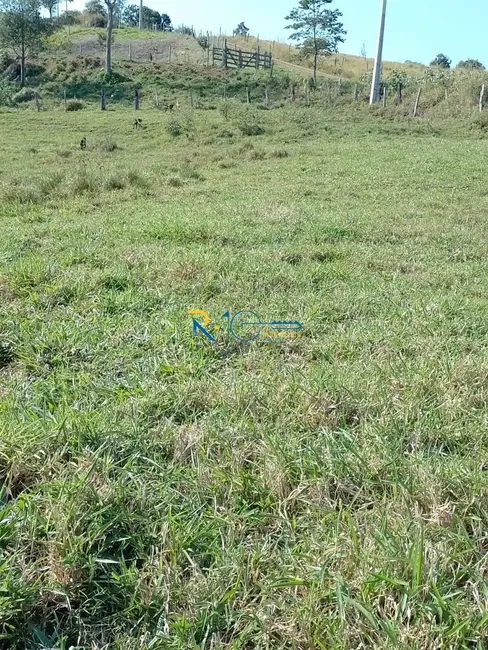 Chácara à venda, 40000m2 em Jataizinho - PR - imagem 18 Foto 18 de Chácara à venda, 40000m2 em Jataizinho - PR