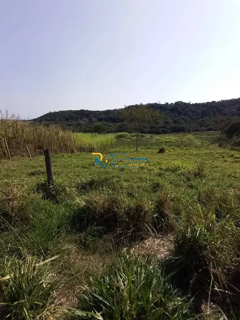 Chácara à venda, 40000m2 em Jataizinho - PR - imagem 13 Foto 13 de Chácara à venda, 40000m2 em Jataizinho - PR