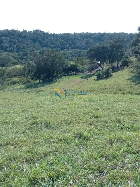 Chácara à venda, 40000m2 em Jataizinho - PR - imagem 19 Foto 19 de Chácara à venda, 40000m2 em Jataizinho - PR