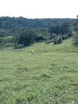 Imagem 19