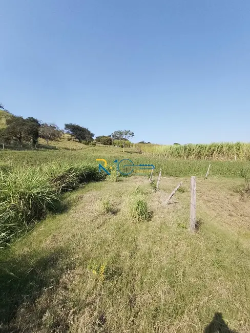 Chácara à venda, 40000m2 em Jataizinho - PR - imagem 6 Foto 6 de Chácara à venda, 40000m2 em Jataizinho - PR