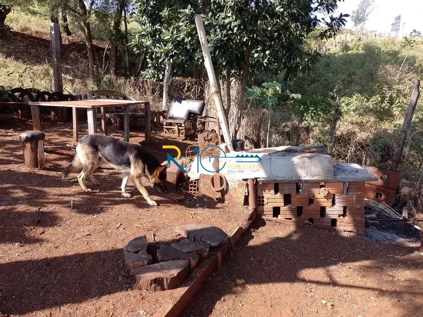 Chácara à venda, 40000m2 em Jataizinho - PR - imagem 4 Foto 4 de Chácara à venda, 40000m2 em Jataizinho - PR