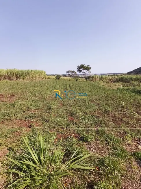 Chácara à venda, 40000m2 em Jataizinho - PR - imagem 9 Foto 9 de Chácara à venda, 40000m2 em Jataizinho - PR