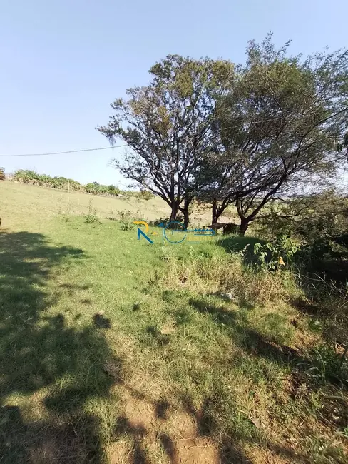 Chácara à venda, 40000m2 em Jataizinho - PR - imagem 5 Foto 5 de Chácara à venda, 40000m2 em Jataizinho - PR